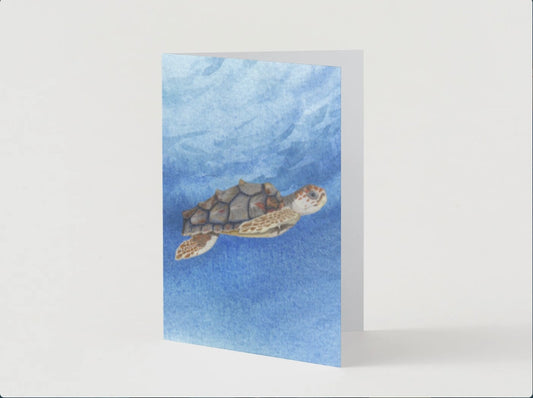 Turtle Greeting Card