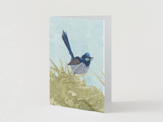 Fairy Wren Greeting Card